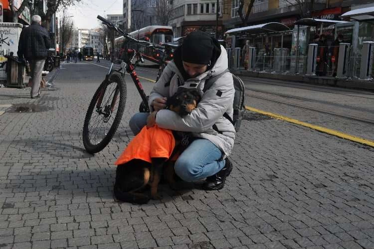 Duyarlı vatandaş kayıp köpeğe sahip çıktı   