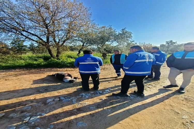 Belediye ekipleri intihar girişiminde bulunan şahsı kurtardı haberinin görseli