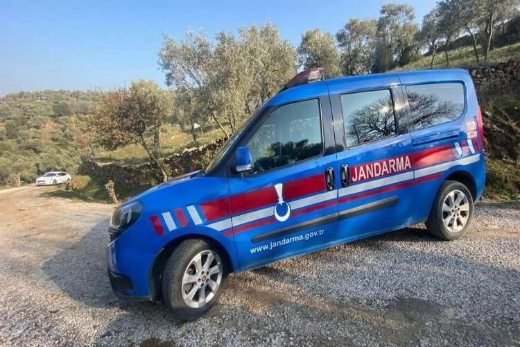 Zeytin hırsızları suçüstü yakalandı haberinin görseli