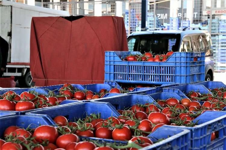 Domatesin miktarı arttı, fiyatı düştü haberinin görseli