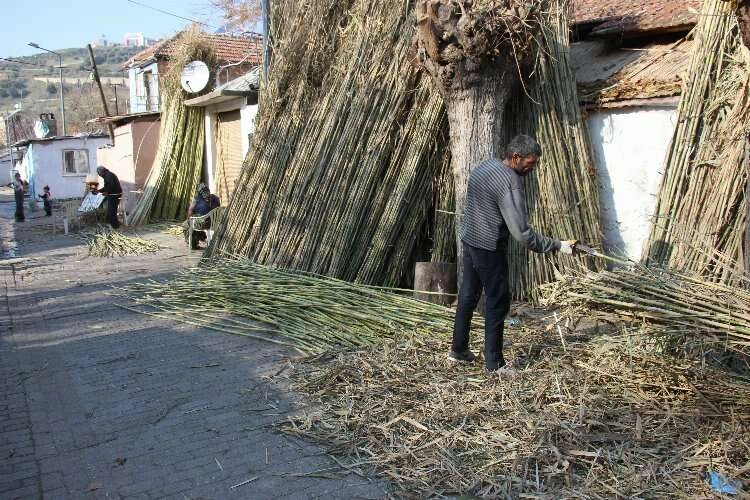 Aydın'da romanlar geçimini bu işten sağlıyor haberinin görseli