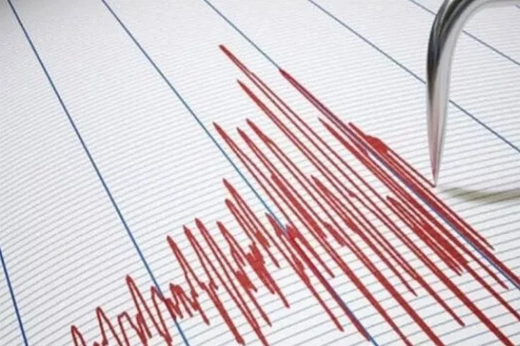 Adana'da deprem paniği