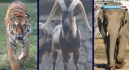 İzmir Doğal Yaşam Parkı'ndan renkli manzaralar