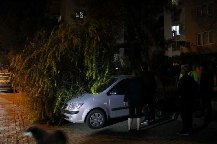 Vatandaşın dikkati otomobilleri kurtardı haberinin görseli