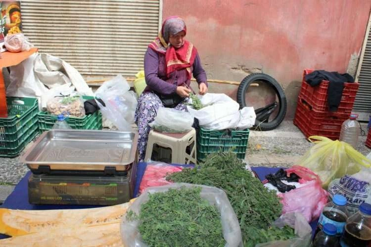 Dağ kekikleri tezgahlarda yerini aldı haberinin görseli