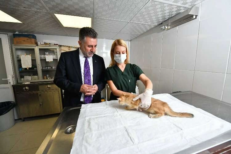 Bayraklı’daki can dostlara özel klinik! haberinin görseli