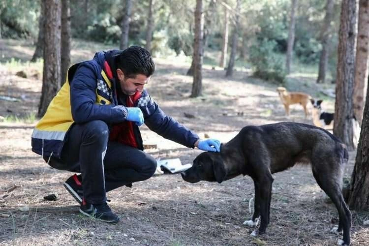 Buca Belediyesi, can dostlara yuva oluyor haberinin görseli