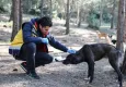 Buca Belediyesi, can dostlara yuva oluyor