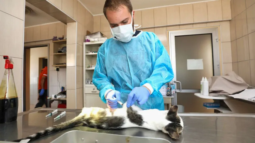 Nisan 2019’dan bu yana 39 ton mamayla  (2)-1