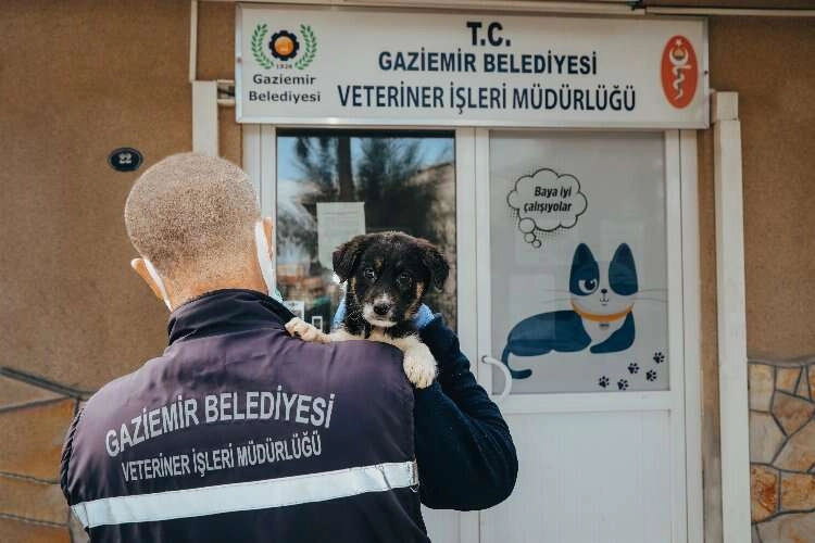 Gaziemir’de 21 bin 940 hayvana veteriner sağlık hizmeti haberinin görseli