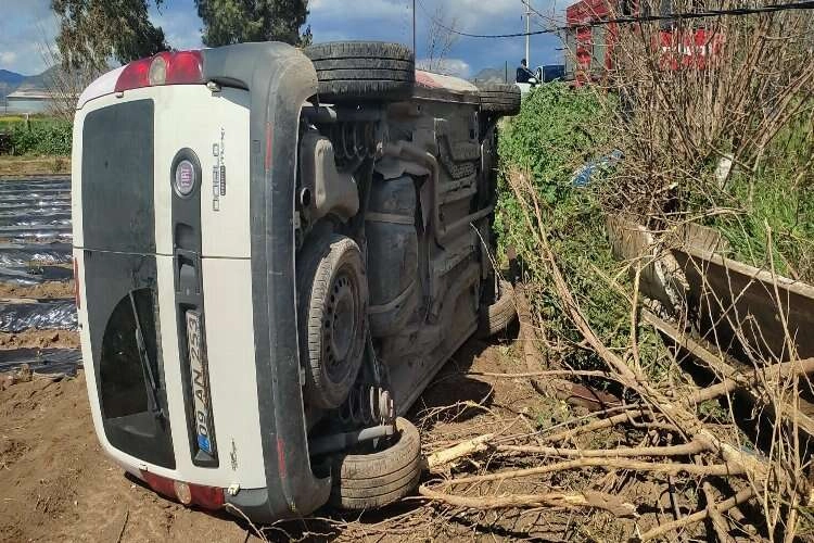 Aydın'da ticari bir araç tarlaya uçtu haberinin görseli