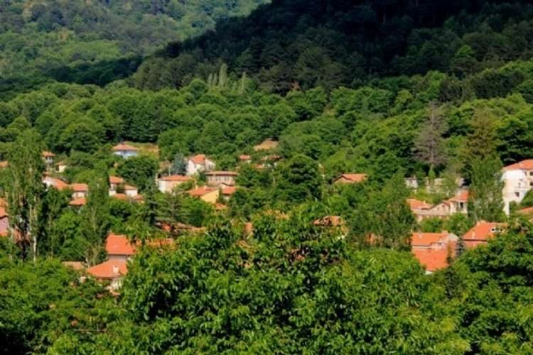 İzmir’in yaylasında madene İZSU engeli haberinin görseli