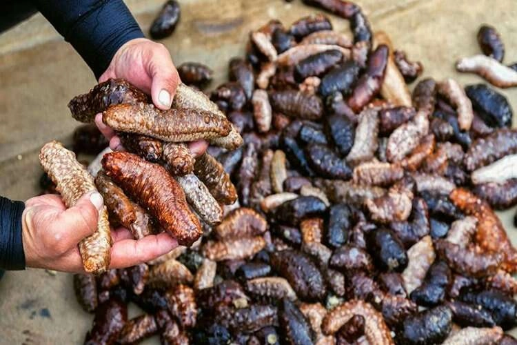 İmha edeceklerdi satarken yakalandılar haberinin görseli