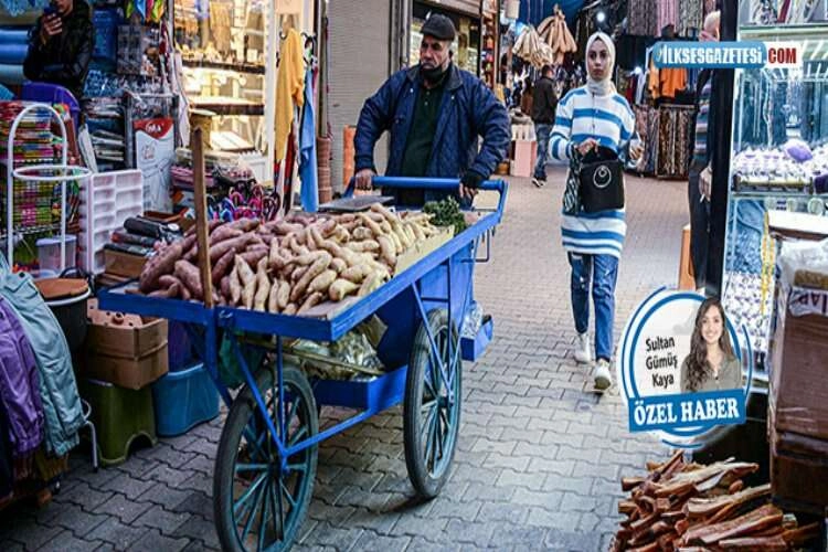 Sokaktan haber var: “Ne pembe, ne vahşi” haberinin görseli