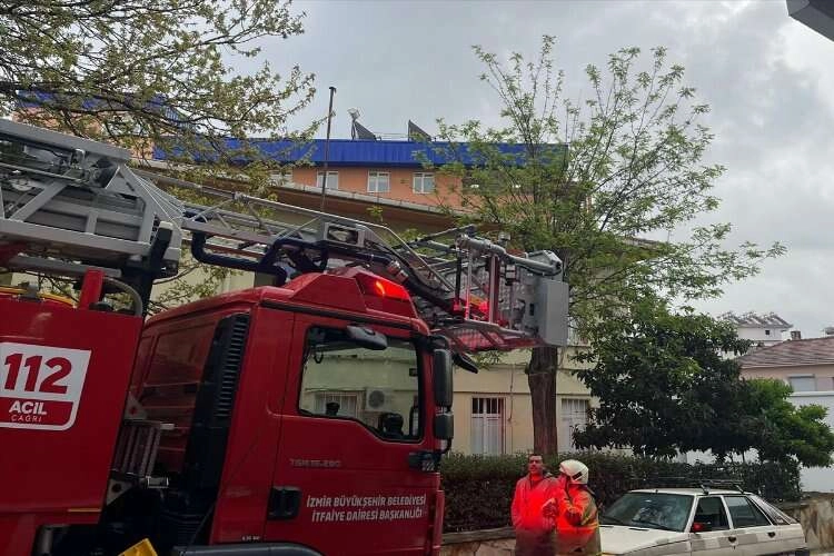 Bayındır'da ağaçta mahsur kalan kedi kurtarıldı haberinin görseli