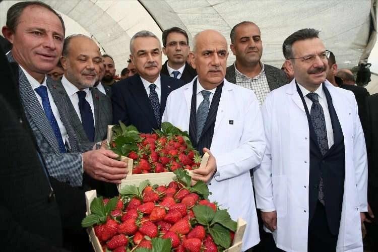 Bakan Kirişci: Tarımda ısıtma için jeotermali kullanalım haberinin görseli