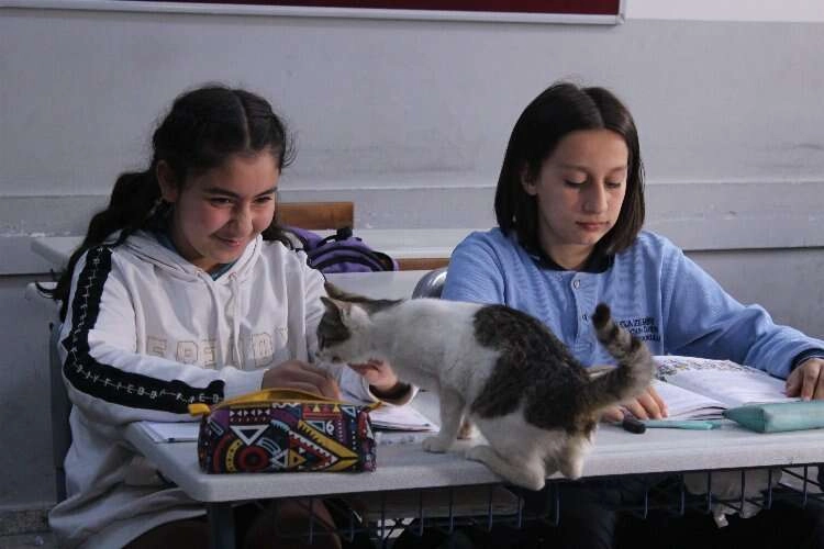 Patili okul öğrencilerin motivasyonunu arttırıyor haberinin görseli