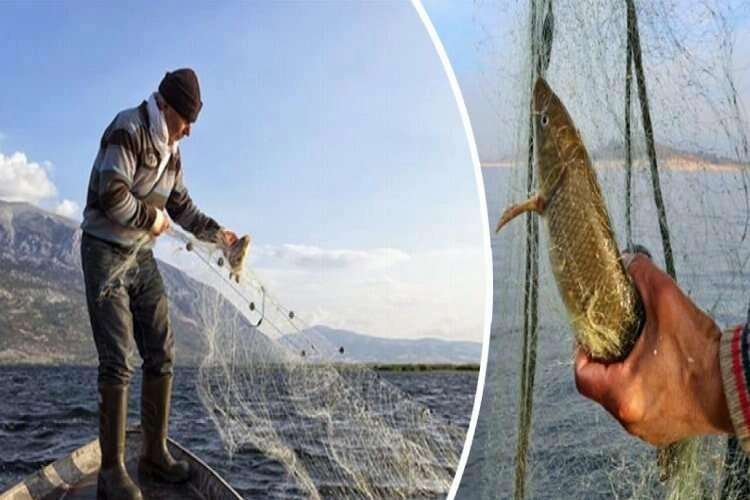 Kaçak avcıların ağına takılan balıklar suya bırakıldı haberinin görseli