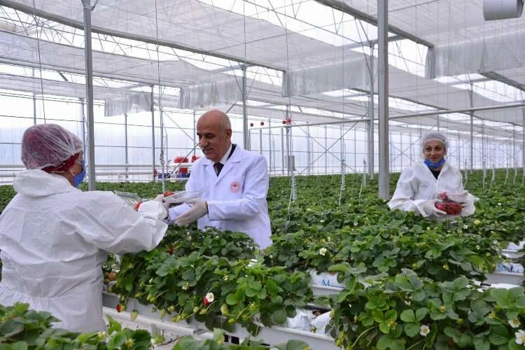Vahit Kirişci: Tek eksiklik 'Su Kanunu' haberinin görseli