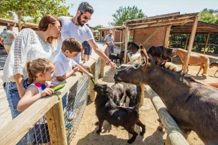 İzmir Doğal Yaşam Parkı nerede? Nasıl Gidilir? Giriş ücreti ve ziyaret saatleri nedir? haberinin görseli