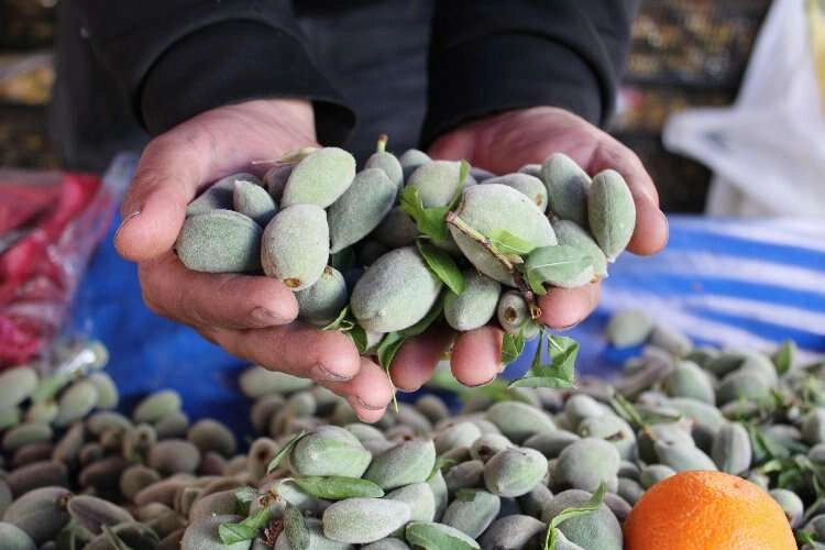 Çağla bademin kilosu 70 liradan tezgahta yerini aldı haberinin görseli