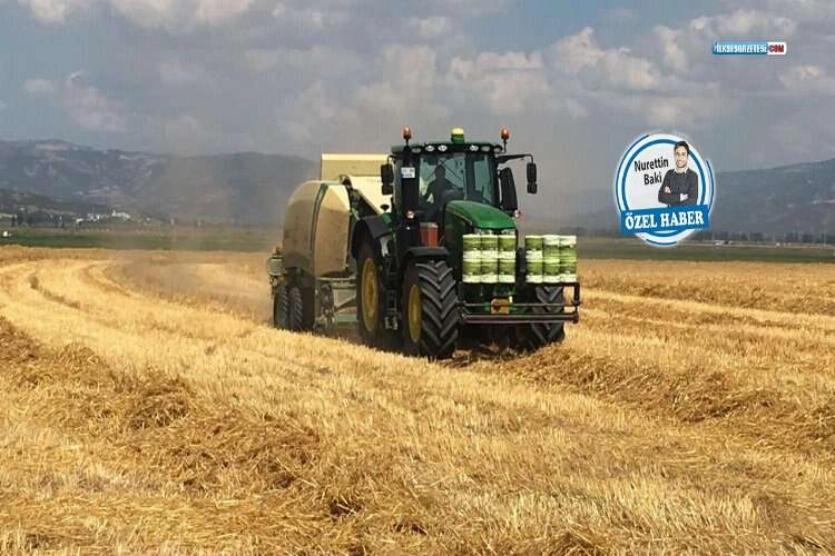 Saman stoklandı, et fiyatları patladı: “Türkiye saman ithal ediyor” haberinin görseli