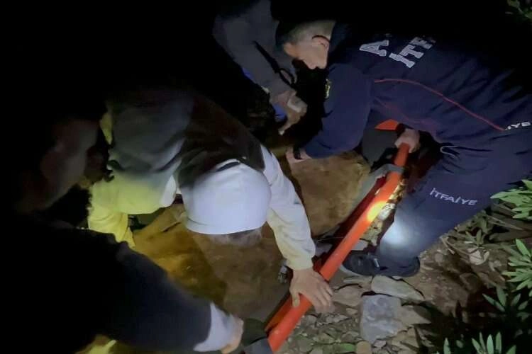 Aydın'da 3 inek uçurumdan düştü haberinin görseli