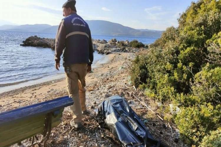 Göçmen cesetleri Aydın'ın koyuna vurdu