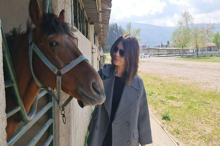Satışa çıkarılan atlar emin ellerde haberinin görseli