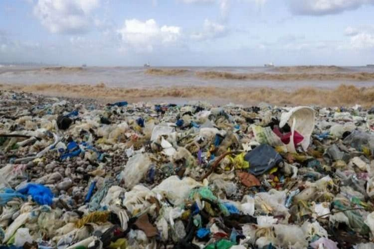 Denizin en büyük düşmanı 'Plastik atık' haberinin görseli