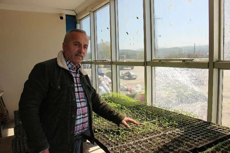 Ata tohumlar ile organik tarım yapıyor haberinin görseli