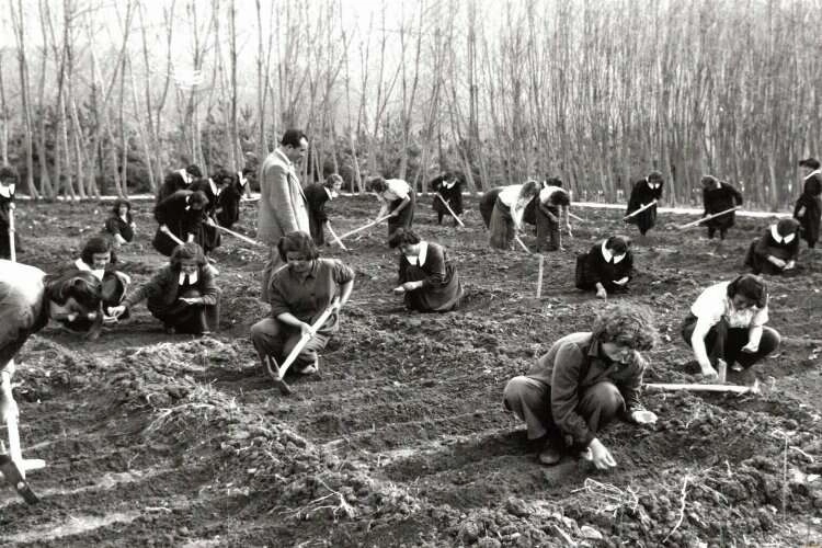Köy Enstitüleri 83 yaşında haberinin görseli