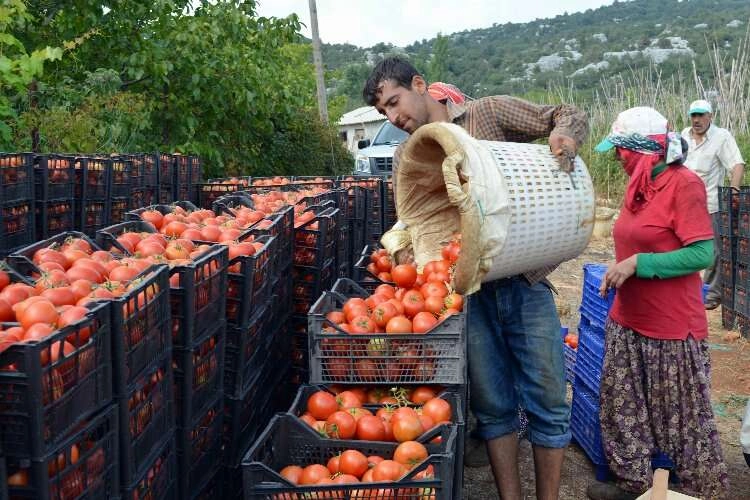 Çiftçi-Sen’den 17 Nisan mesajı  haberinin görseli