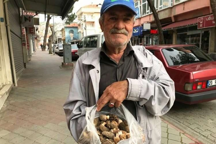 Yağışlar devam etti, kuzugöbeği çoğaldı