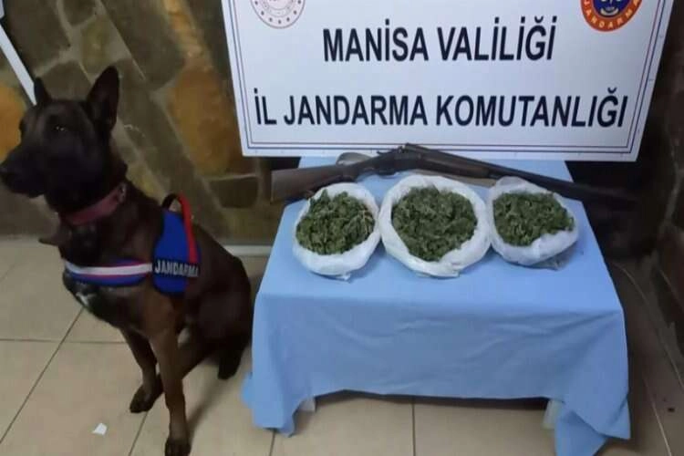 Manisa'nın ilçelerinde uyuşturucu operasyonu haberinin görseli