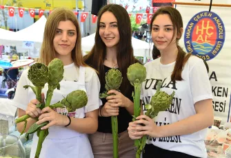 Enginarın en renkli hali: Urla Enginar Festivali galerisinin önkapak görseli