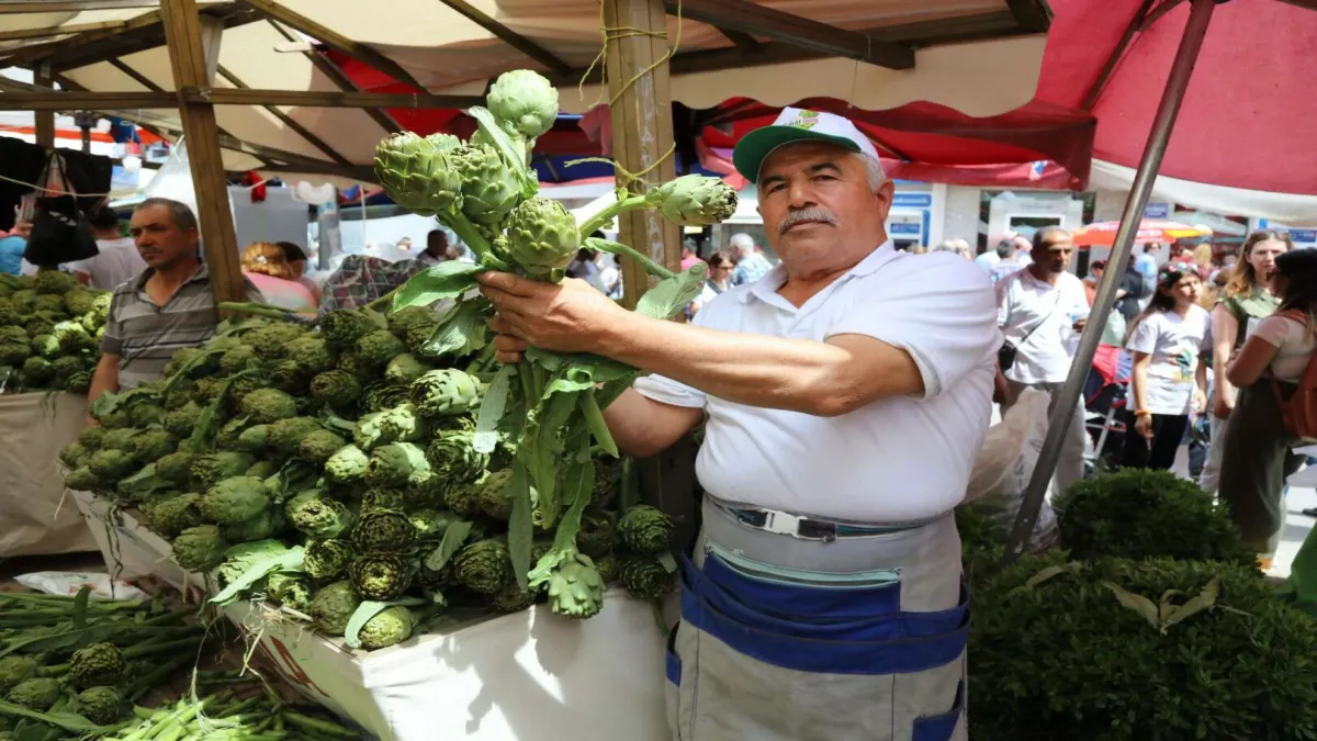 Enginarın en renkli hali: Urla Enginar Festivali - 634