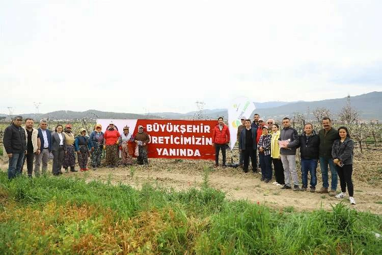 Denizli Büyükşehir, üreticilerin yüzünü güldürüyor haberinin görseli