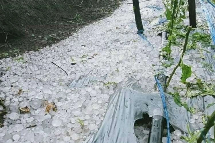 Tayland'da dolu yağışı şehri mahvetti