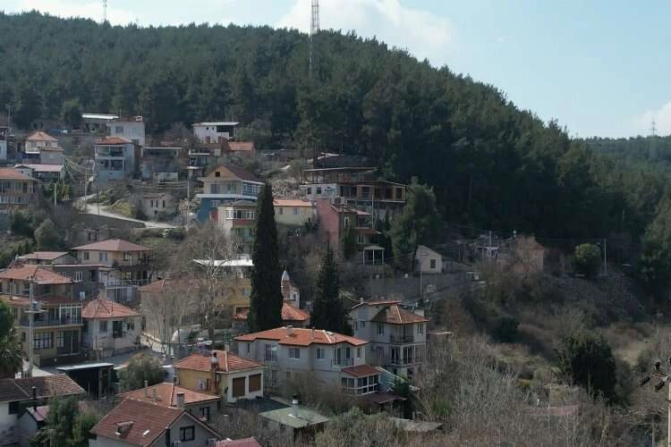 Asırlık camiye ve ormanlarına gözü gibi bakıyorlar haberinin görseli