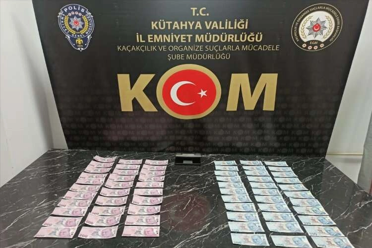 Mantar toplamaya gitti para buldu haberinin görseli