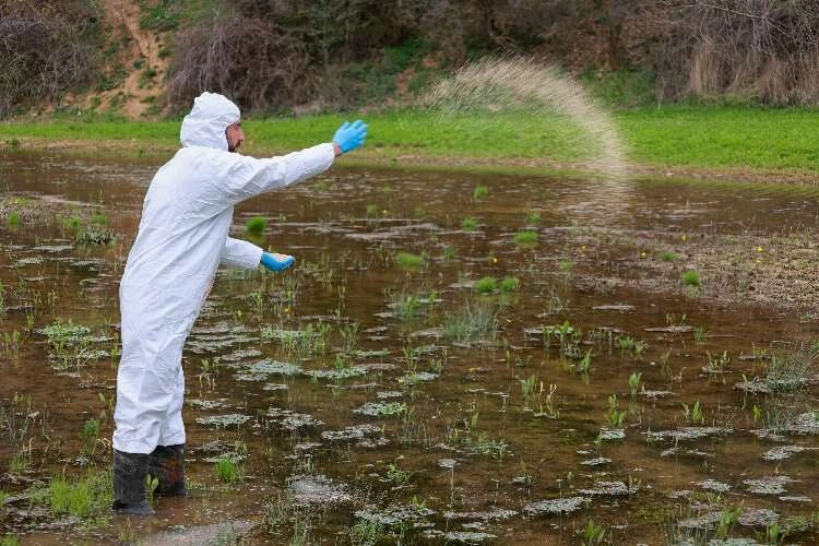 Uşak'ta larvasit çalışmaları başladı haberinin görseli