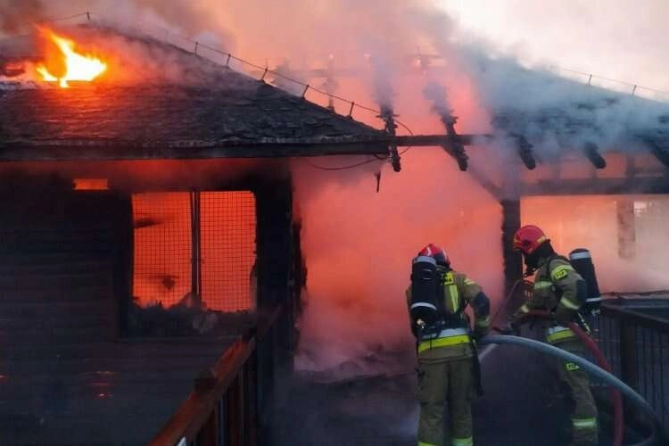 Polonya'da yangın: Hayvanlar telef oldu haberinin görseli