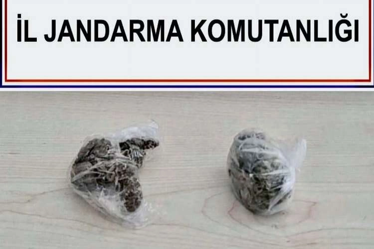 Muğla'da yolcu valizinden esrar çıktı haberinin görseli