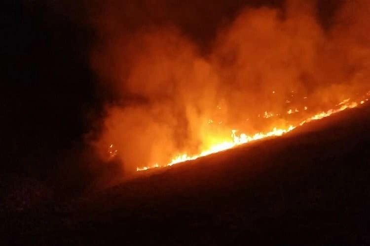 Muğla makilik arazide korkutan yangın haberinin görseli