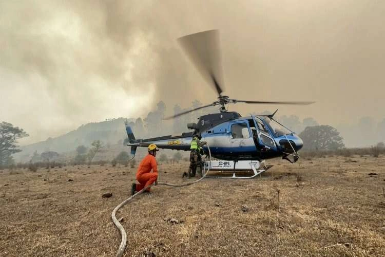 Meksika’da orman yangını haberinin görseli
