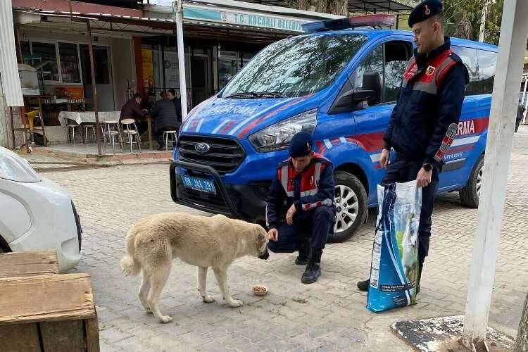 Aydın'da jandarma, can dostları unutmadı haberinin görseli