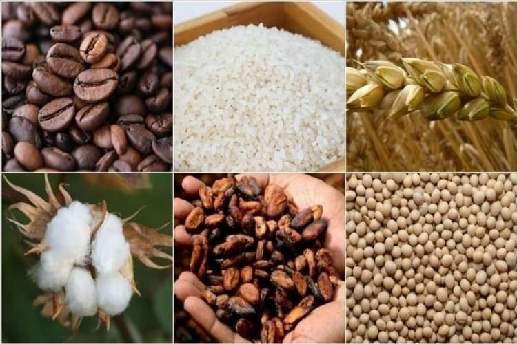 Emtia piyasasında satış baskısı devam ediyor haberinin görseli