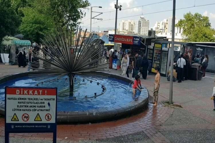 Süs havuzunda tehlikeli eğlence haberinin görseli
