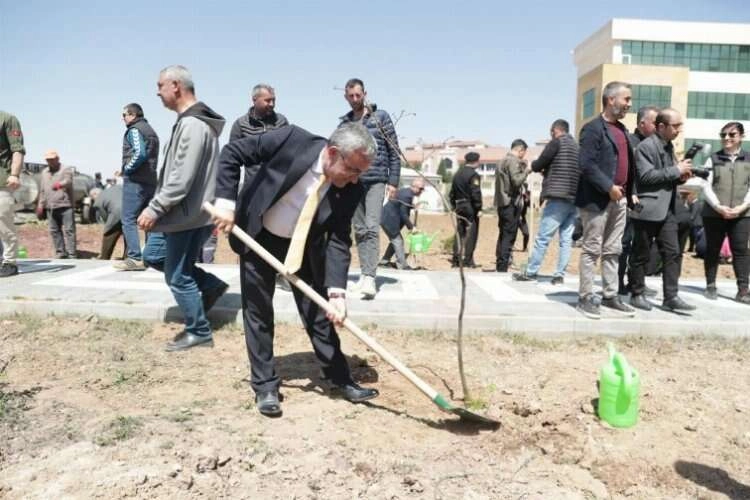 Kütahya’da fidanlar, bal ormanına dönüşecek haberinin görseli